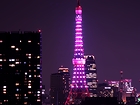 絶好ポイントからピンク東京タワー