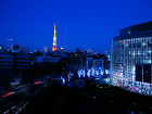 東京タワー ☆ロイヤルブルー☆
