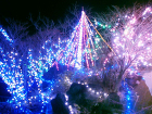 筑波山のクリスマス